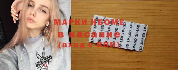 твердый Медногорск