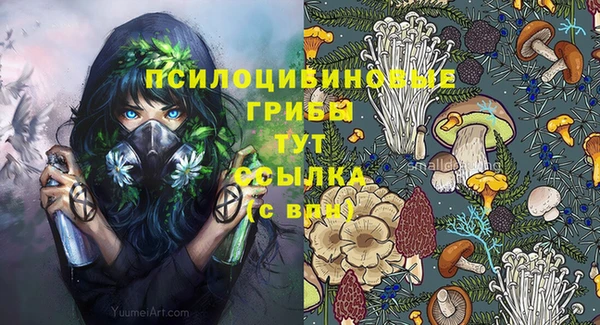 твердый Медногорск