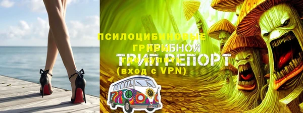 mdpv Медвежьегорск